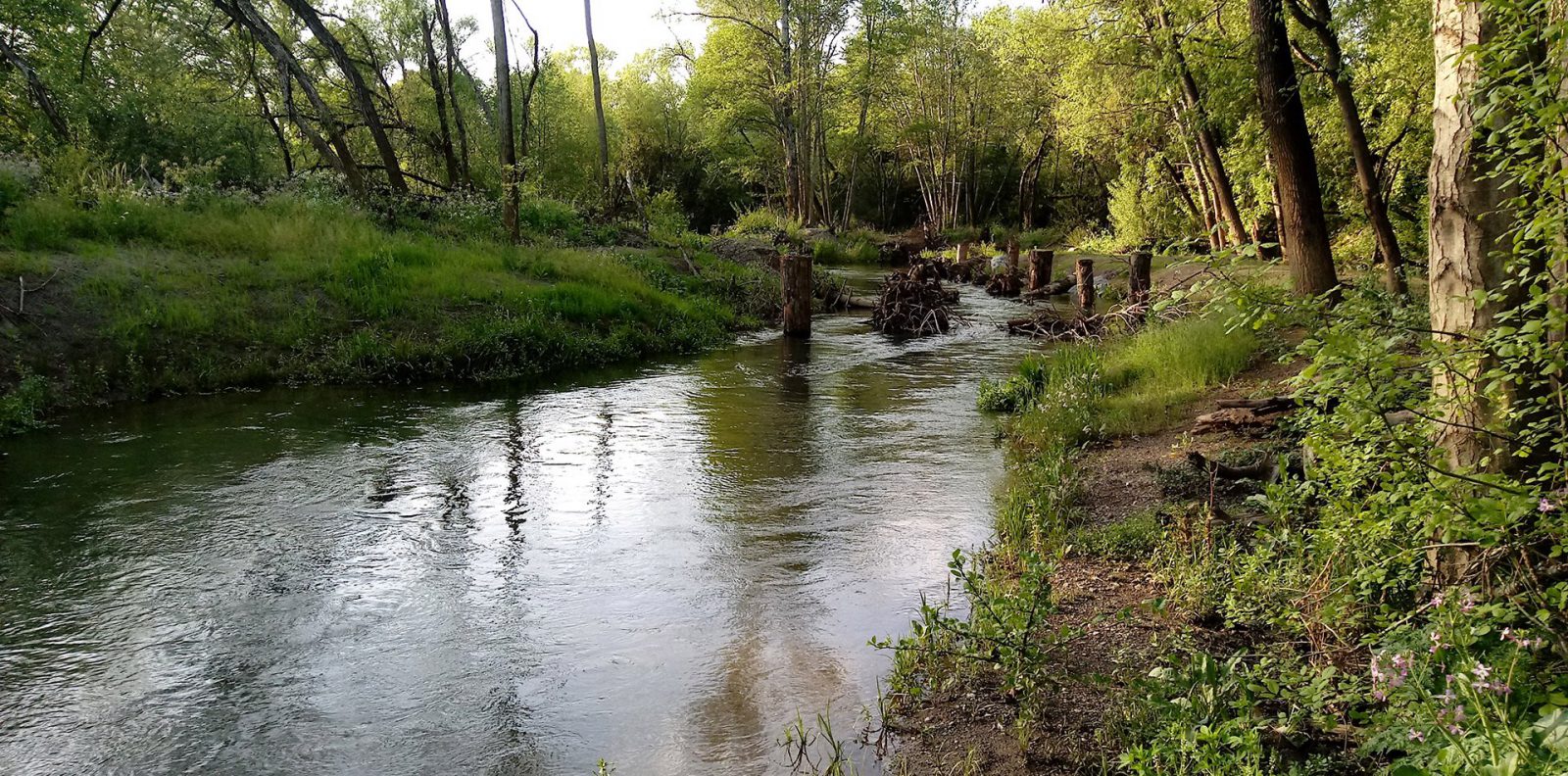 Dry Creek