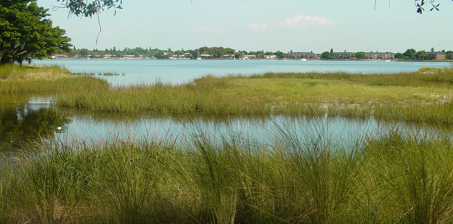 Wetland