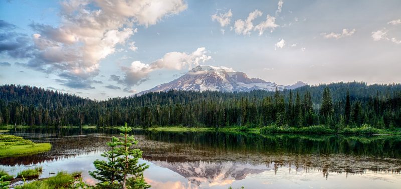Photo for Charting the Course for Water: Washington’s Hirst Decision