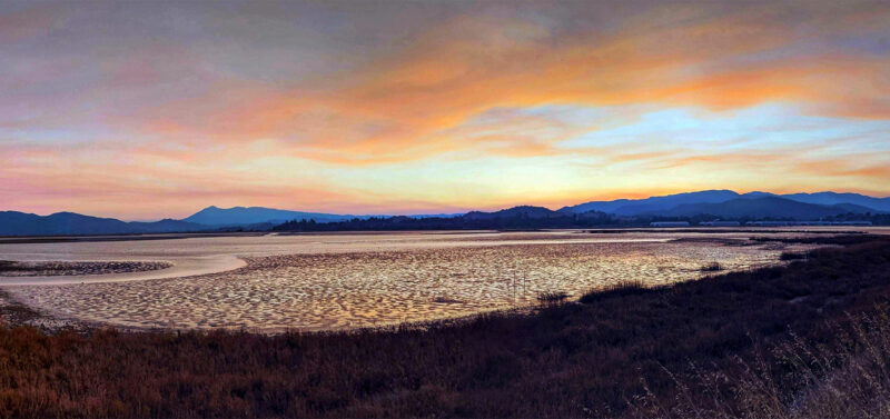Photo for Designed and Delivered: Hamilton Wetlands Restoration Project