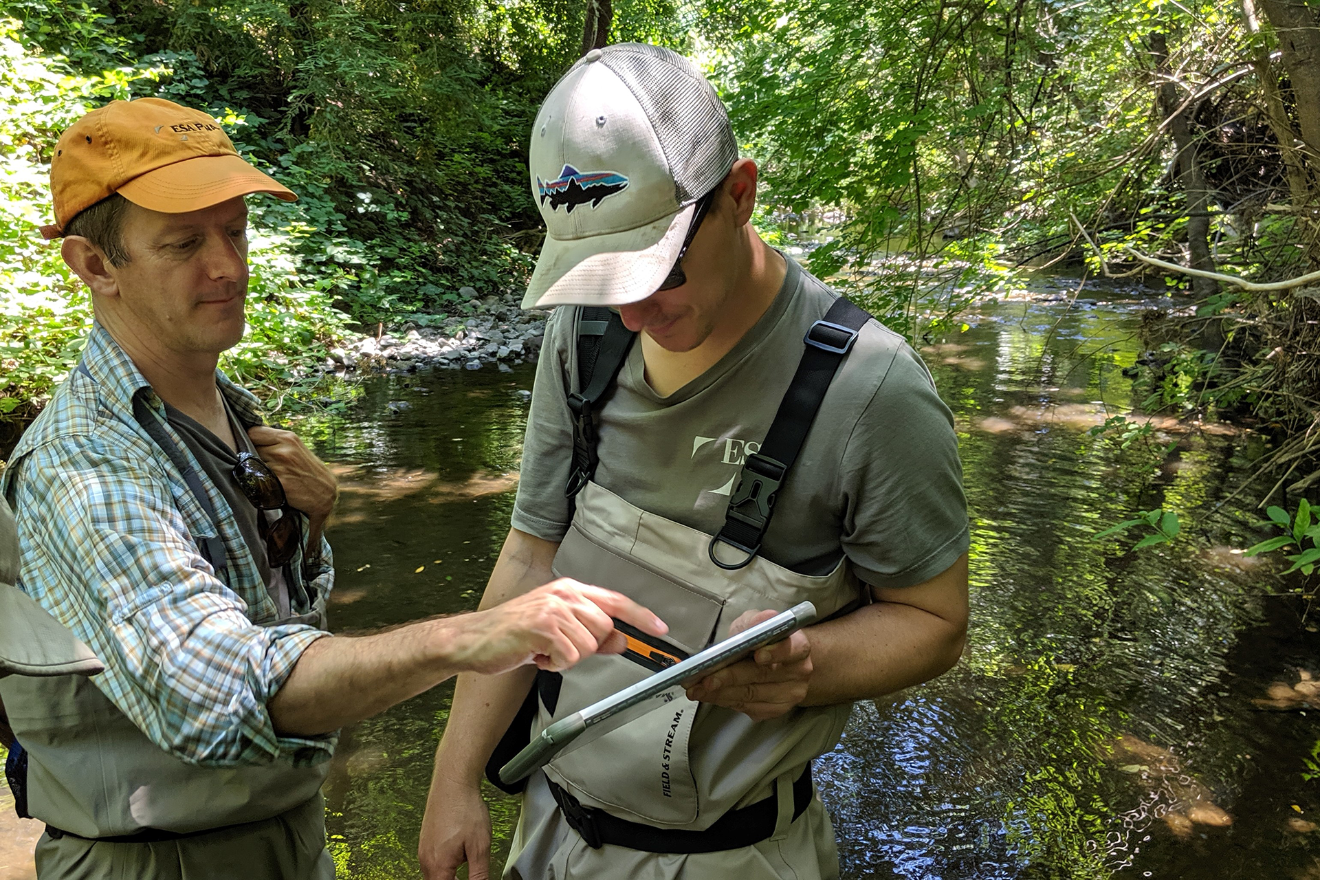 Field data collection