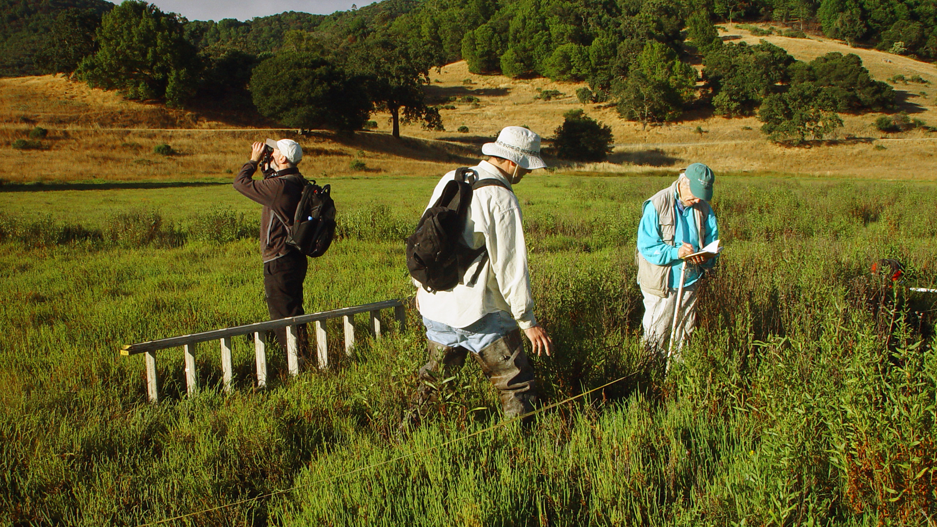 Conservation program activities