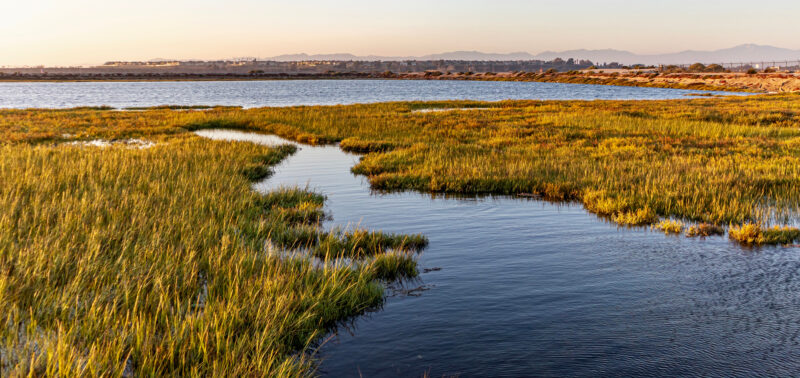 Photo for WOTUS, POTUS, and SCOTUS: Where Waters of the U.S. Stands Under the New Administration