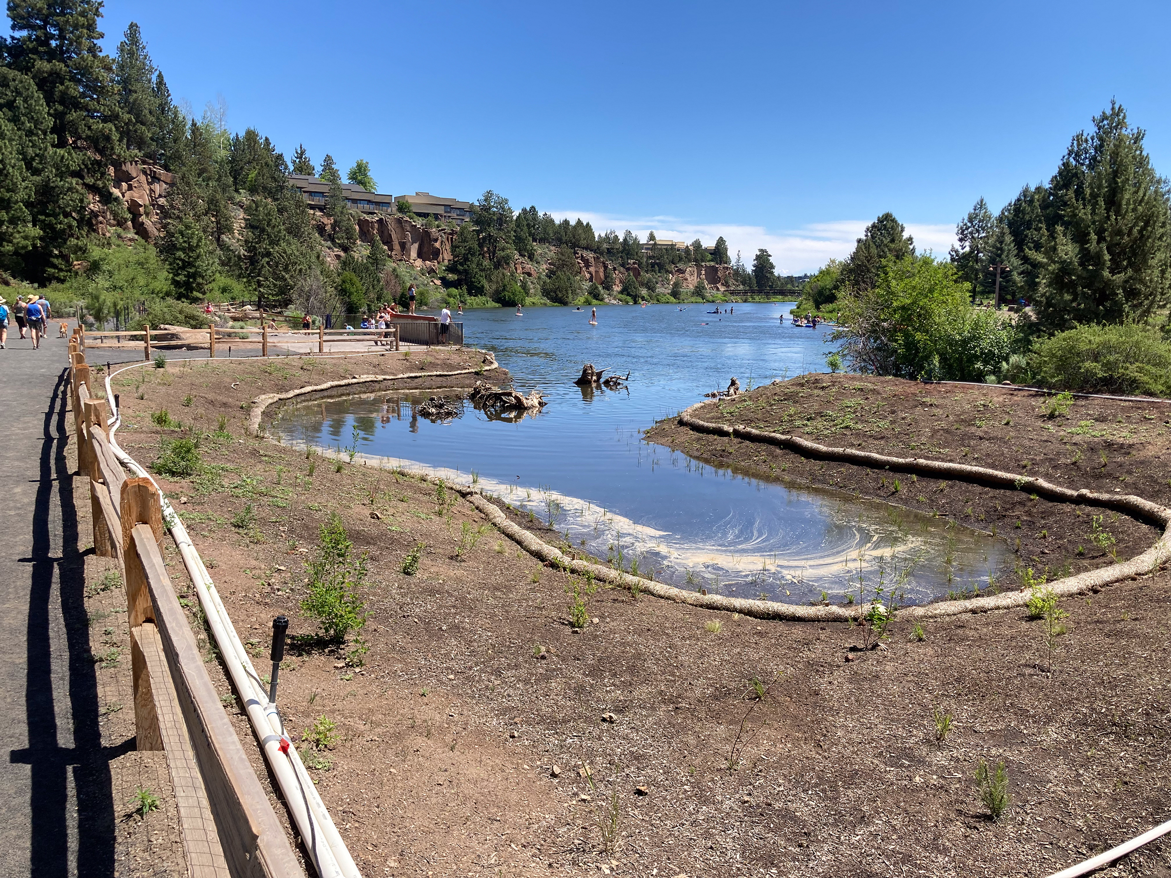 Constructed off-channel marsh with rehabilitated native riparian habitat on the Deschutes River in Bend, Oregon.