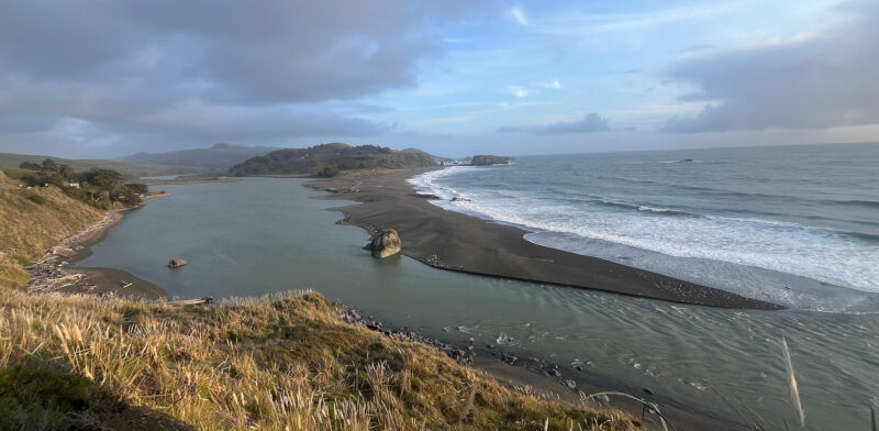 Photo for ESA Presents at the 2025 Salmonid Restoration Conference