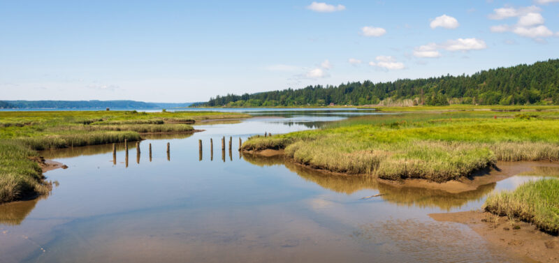 Photo for 2026 Nationwide Permit Updates: Restoration, Fish Passage, and Nature-Based Solutions