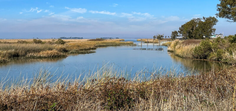 Photo for USACE 2026 Nationwide Permits: Final Rule Revisions and What They Mean for Project Sponsors